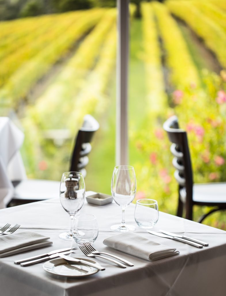 ParingaEstate_RedHIll_Winery_KatieWilton-37