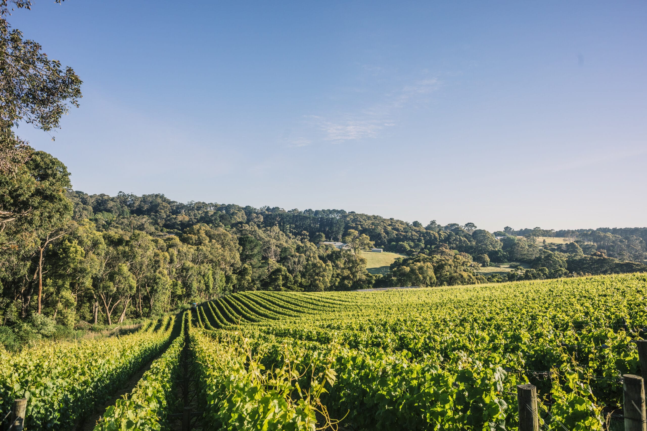 Paringa Estate